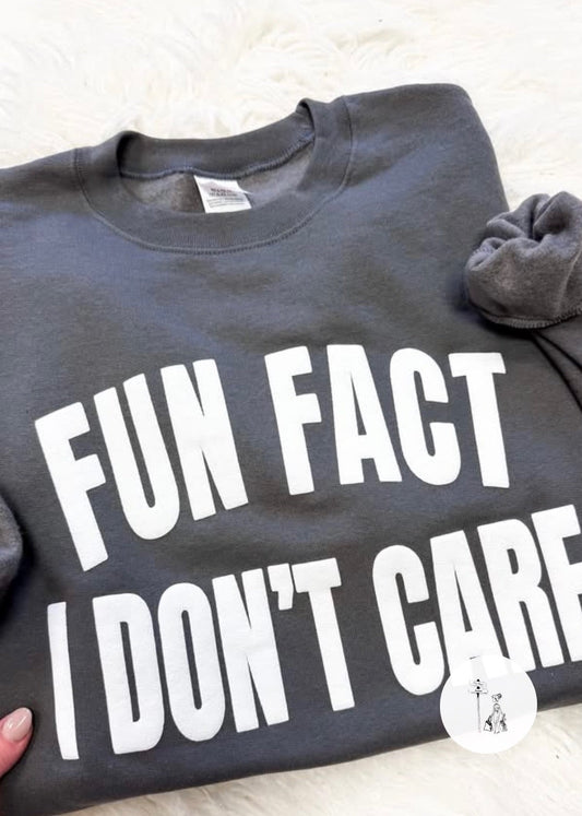 Fun Fact I Don’t Care Puff Print Sweatshirt Poet Street Boutique