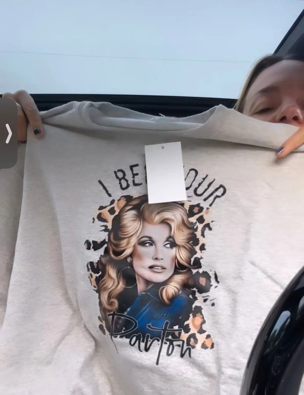 I Beg Your Parton Graphic Sweatshirt Novelty graphic sweatshirt Poet Street Boutique