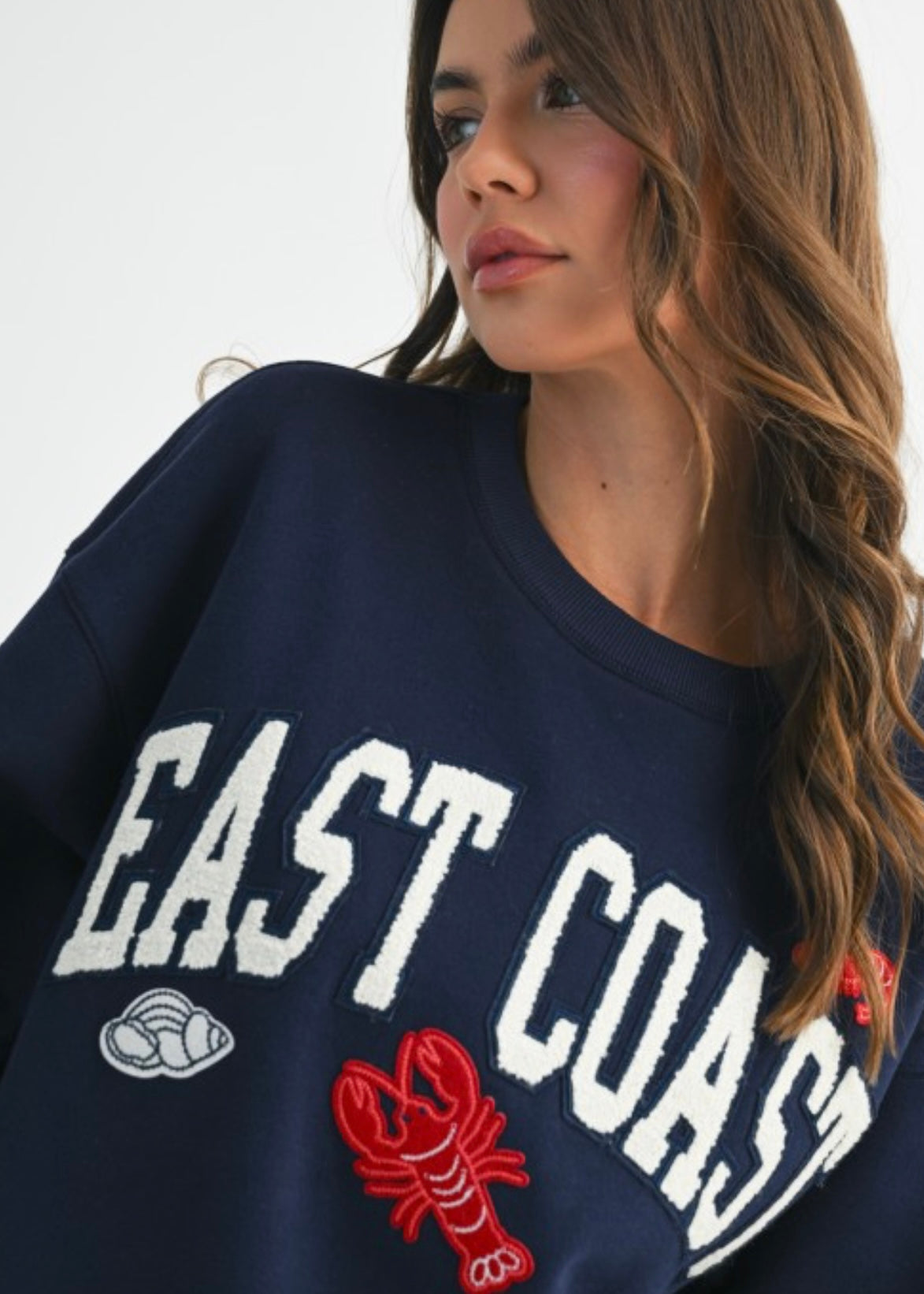 PRE-ORDER Aemi + Co East Coast Lobster Fleece Pullover Aemi + Co