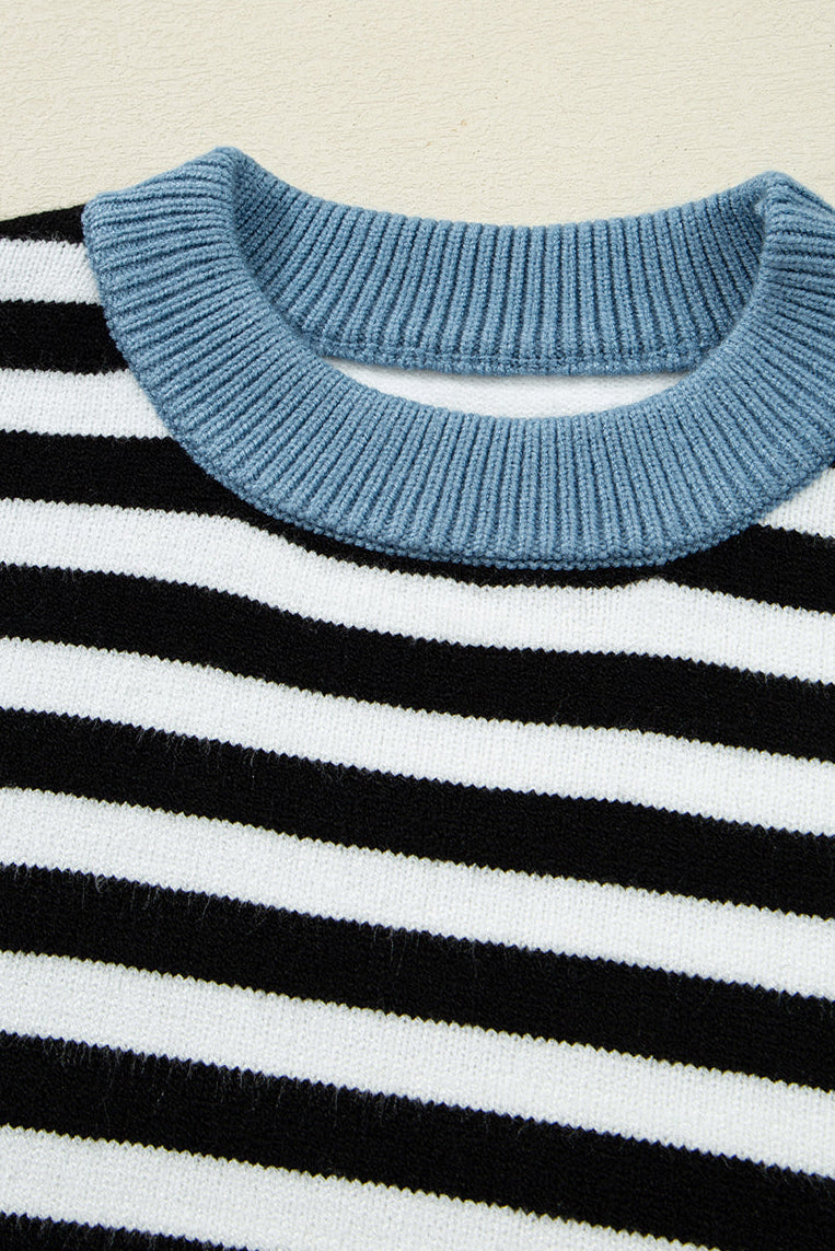 Stripe Colorblock Sleeve Ribbed Trim Sweater