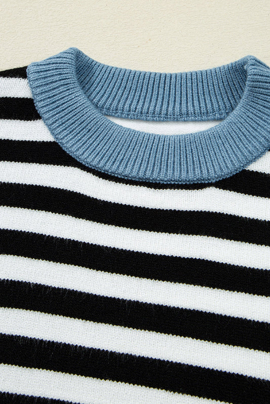 Stripe Colorblock Sleeve Ribbed Trim Sweater